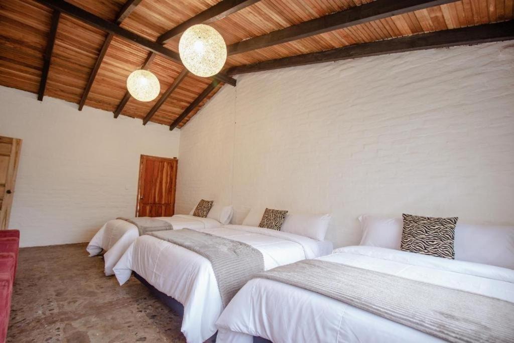 Rustic Quinta La Aurora Bed & Breakfast Banos  Exterior photo